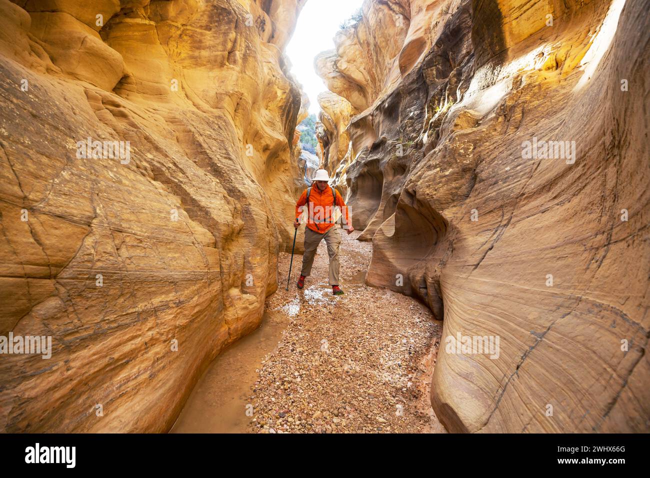 Slot Canyons sind ein typisches Landschaftsmerkmal im Südwesten der USA, Utah Stockfoto