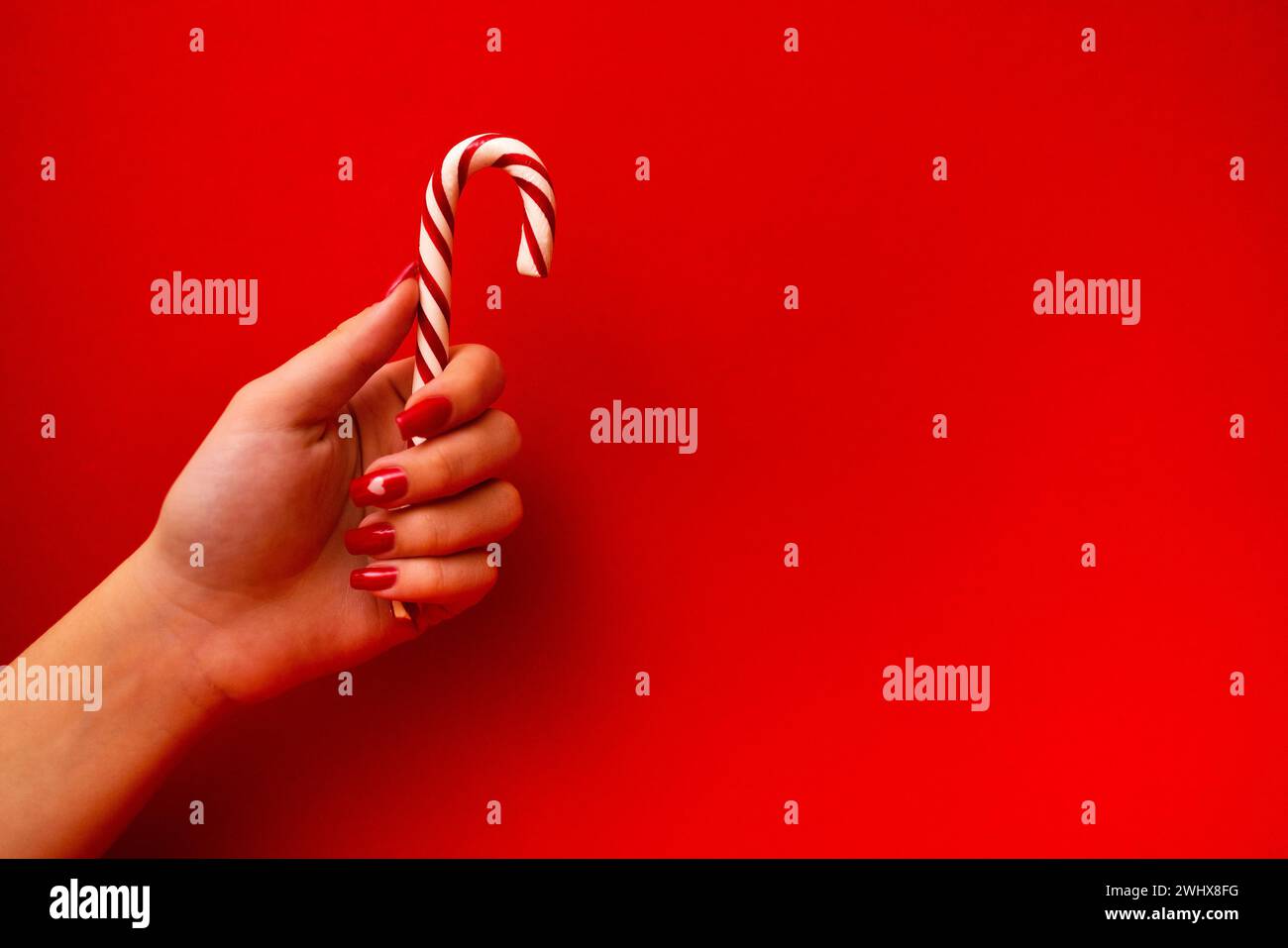 Die Hand eines jungen Mädchens mit einer roten Maniküre hält einen Zuckerstock. Zimt- oder Pfefferminzstab auf hellrotem Hintergrund. Stockfoto