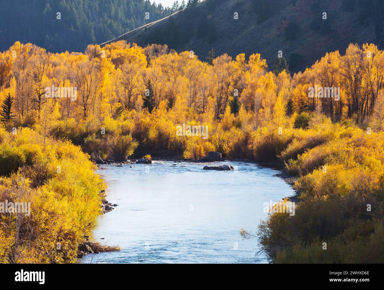 Wandern Sie durch die fantastische Landschaft von Alaska, USA Stockfoto