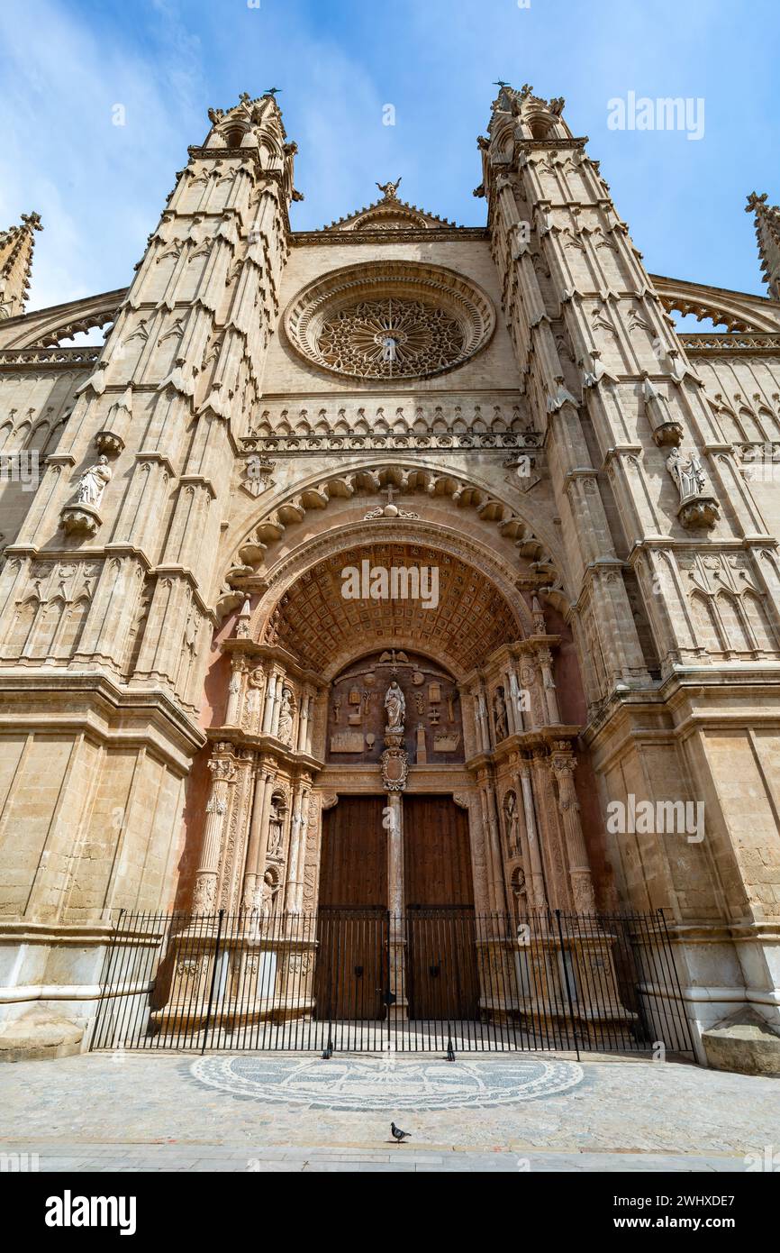 Gotische mittelalterliche Kathedrale La Seu und Königspalast La Almudaina. Palma de Mallorca. Balearen Spanien. Stockfoto