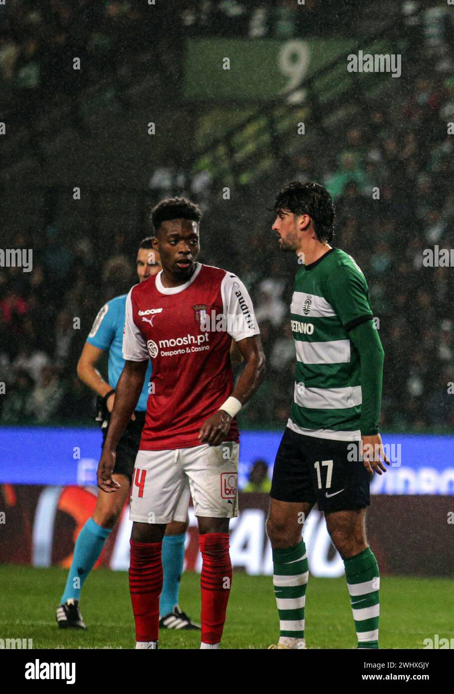 Lissabon, Portugal. Februar 2024. Lissabon, 02/11/2024 - heute begrüßte das Senior-Fußballteam Sporting Clube de Portugal das Sporting Clube de Braga-Team Futebol, SAD, Jornada 21 von der Liga Portugal Betclic Championship im José de Alvalade Stadion in Lissabon. Alvaro Djaló (Mário Vasa/Global Imagens) Credit: Atlantico Press/Alamy Live News Stockfoto