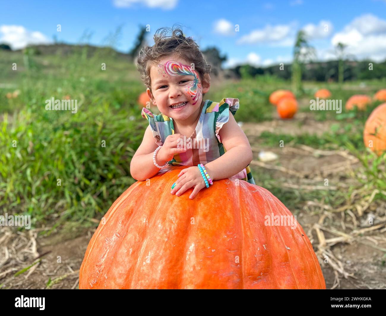 Das kleine Mädchen pflückt Kürbisse auf Halloween Kürbisflicken. Kind, das auf dem Squash-Feld spielt. Stockfoto