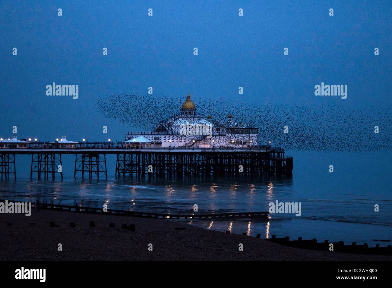 Murmeln von Starlingen in der Abenddämmerung, die über den Eastbourne Pier fliegen, einem Vergnügungspier am Meer in Eastbourne, East Sussex, an der Südküste Englands Stockfoto