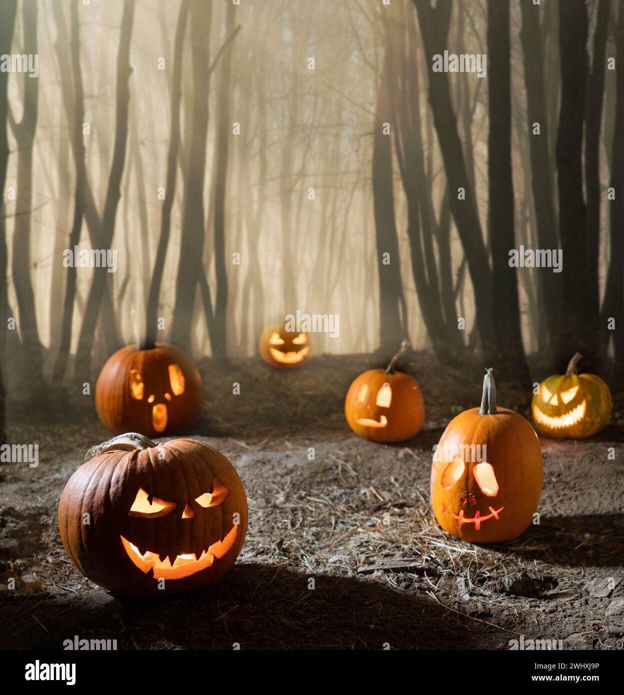 Gruseliger Halloween-Hintergrund mit Jack'o'Laternen in der Nacht Stockfoto