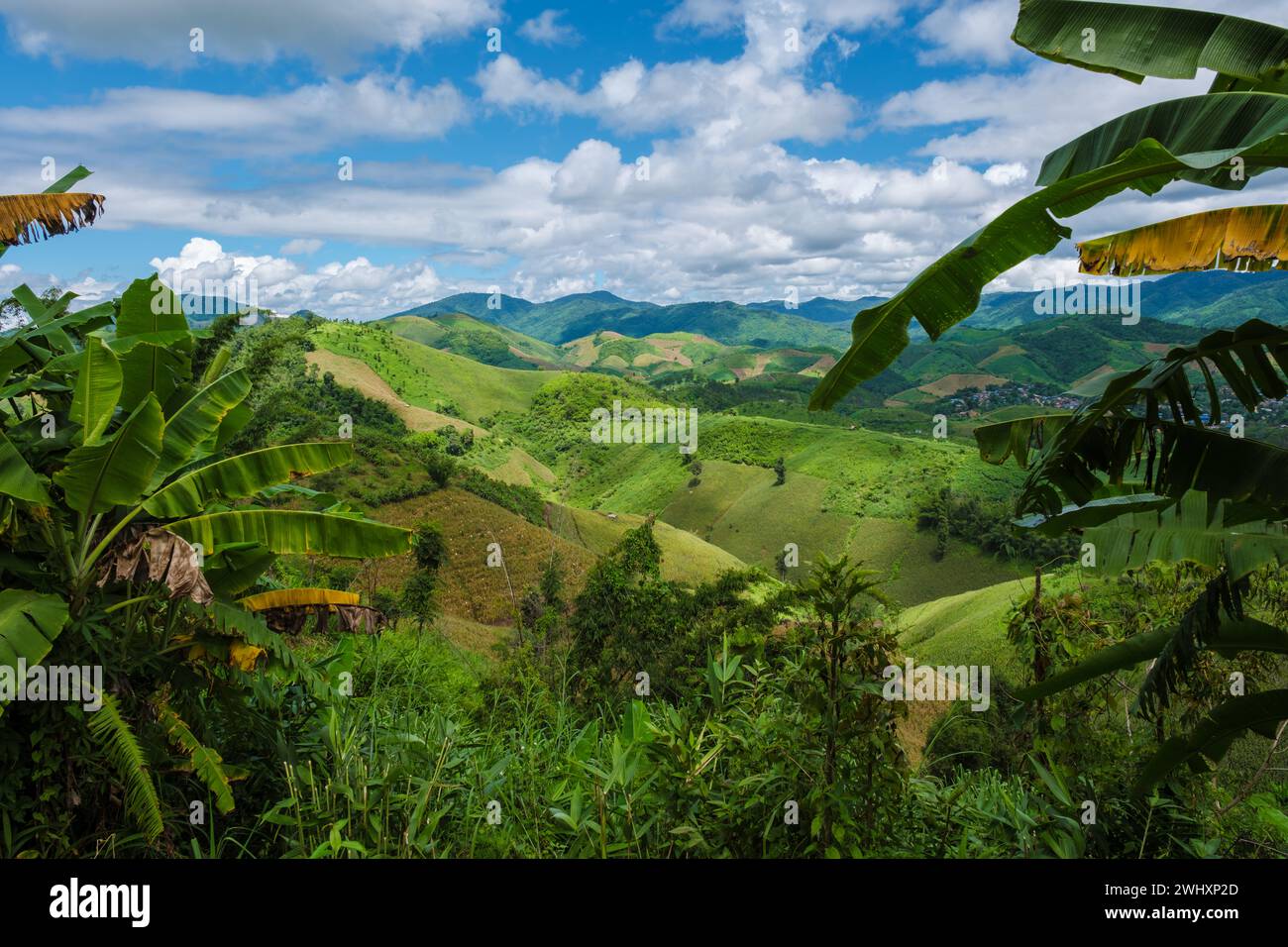 Doi Chang Berge von Chiang Rai Nord Thailand Stockfoto
