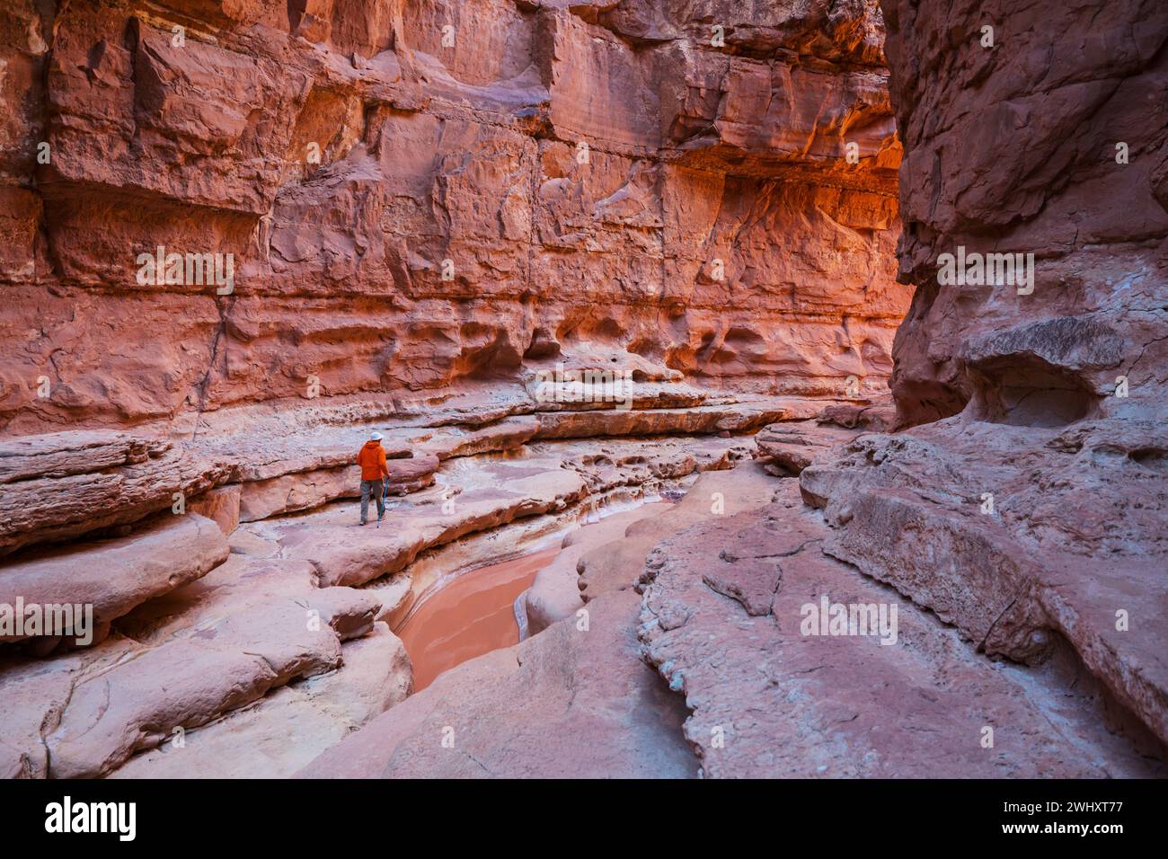 Slot Canyons sind ein typisches Landschaftsmerkmal im Südwesten der USA, Utah Stockfoto