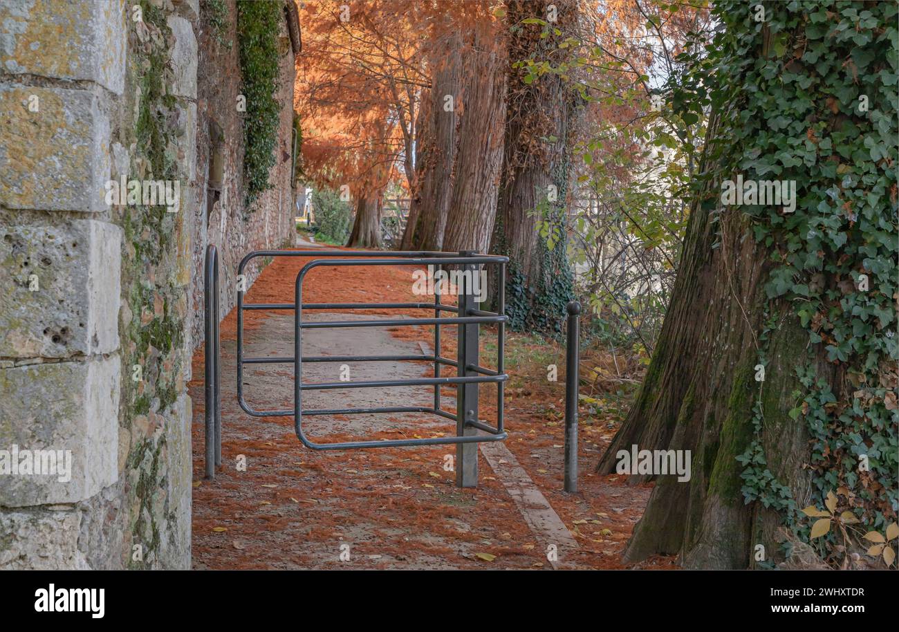 Blick auf einen Pfad im Herbst an ein Tor für einen Rollstuhlzugang Stockfoto
