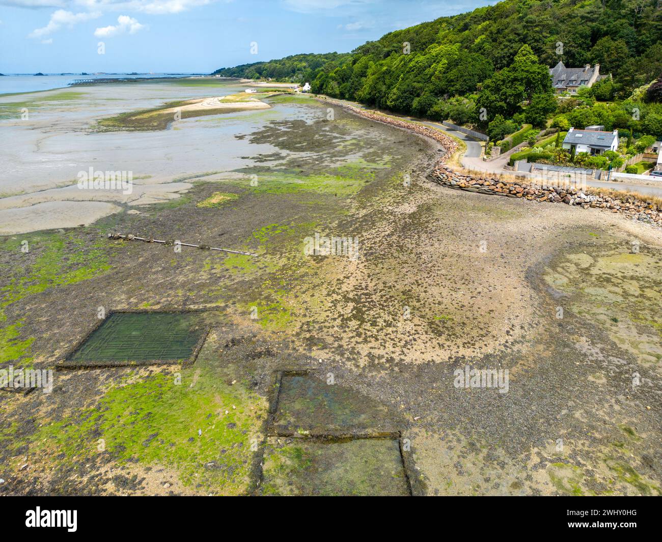 Austernzucht in der Bucht von Morlaix, Bretagne Stockfoto