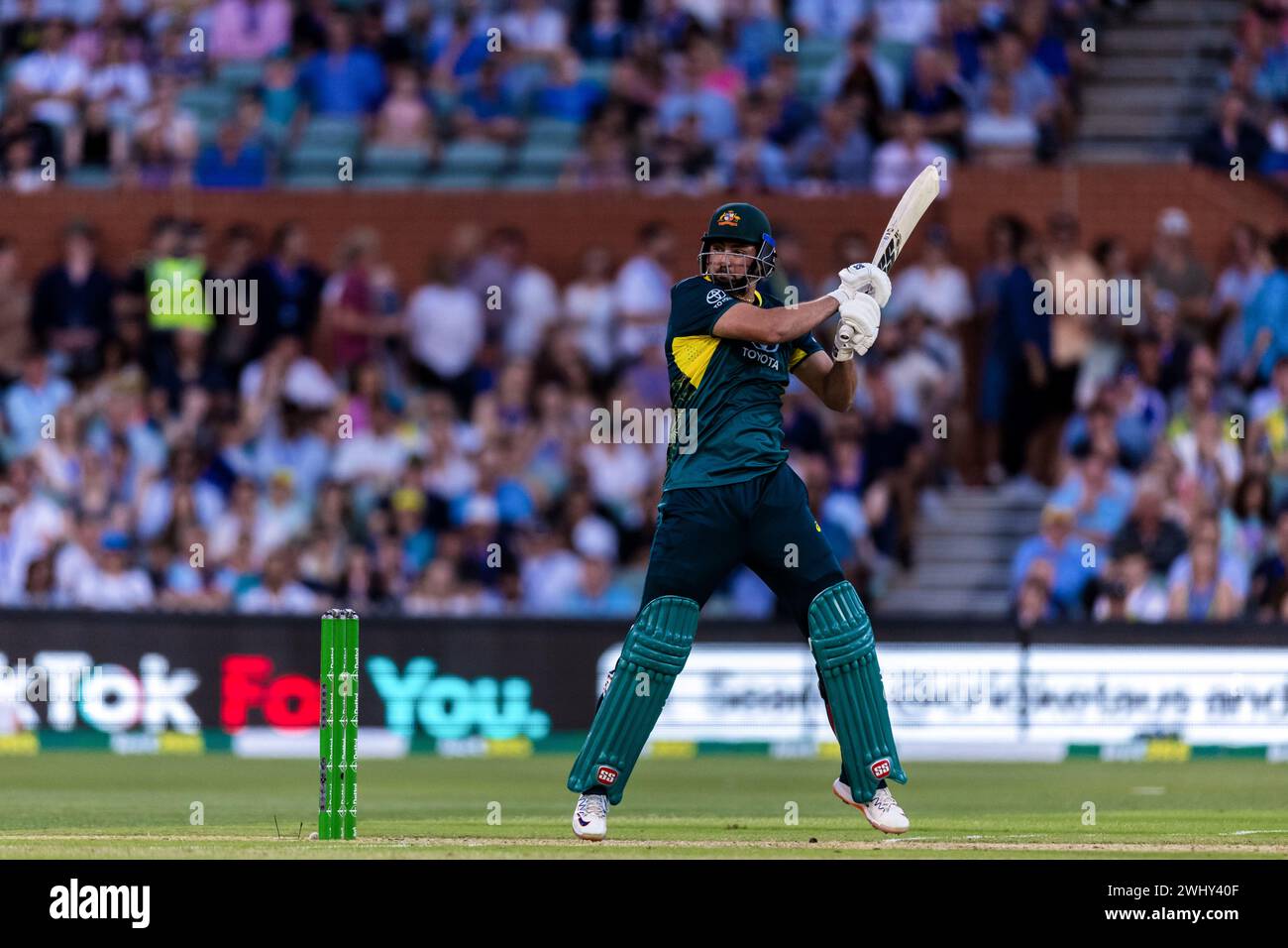 Adelaide, Australien, 11. Februar 2024. Tim David aus Australien fährt während des zweiten Spiels der T20 International Series zwischen Australien und West Indies am 11. Februar 2024 im Adelaide Oval in Adelaide, Australien. Quelle: Santanu Banik/Speed Media/Alamy Live News Stockfoto