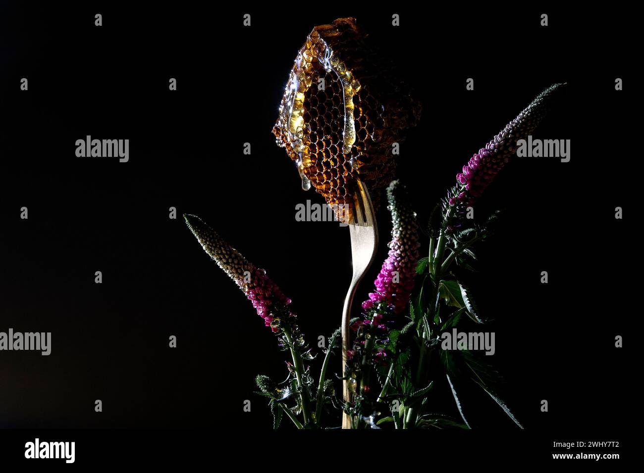 Frischer Honigkamm und Sommerblumen Stockfoto