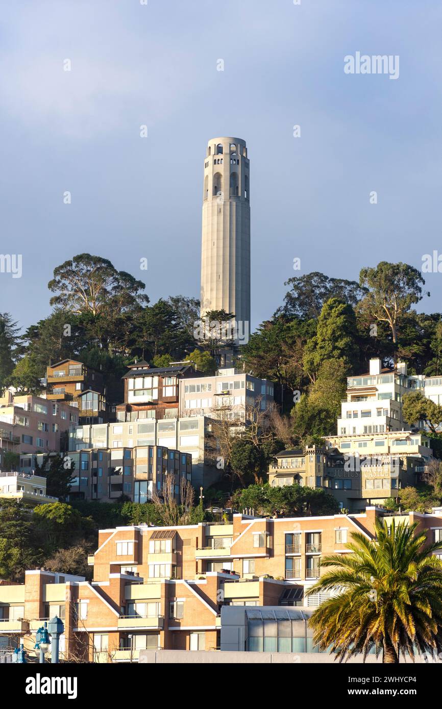 Coit Tower, Pioneer Park, North Beach, San Francisco, Kalifornien, Usa Stockfoto