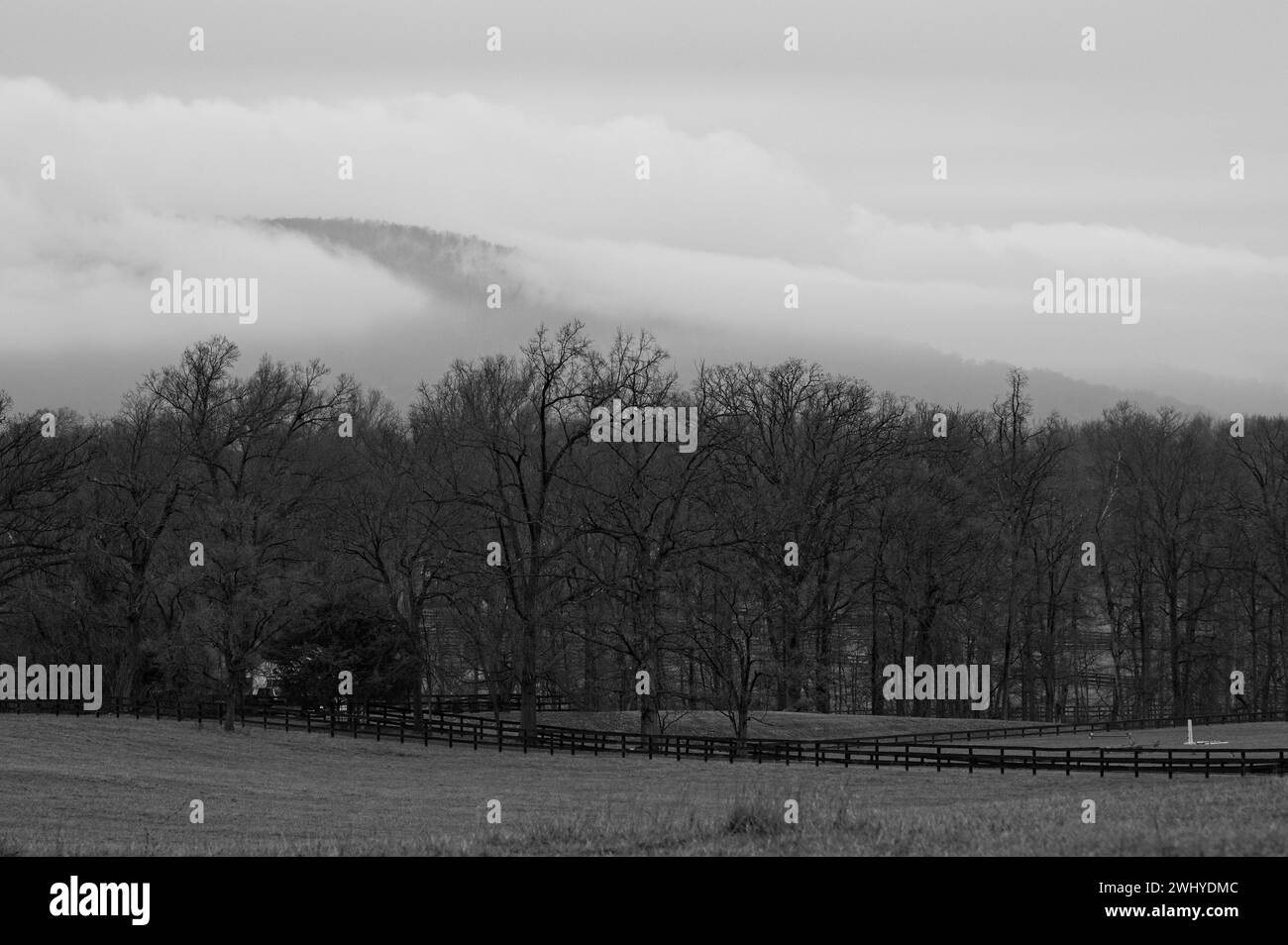 USA - 11.02.2024: Keine Worte oder Fotos könnten dem Loudoun Valley jemals gerecht werden. Sturmwolken brechen heute in der Nähe von Willisville im Westen Stockfoto