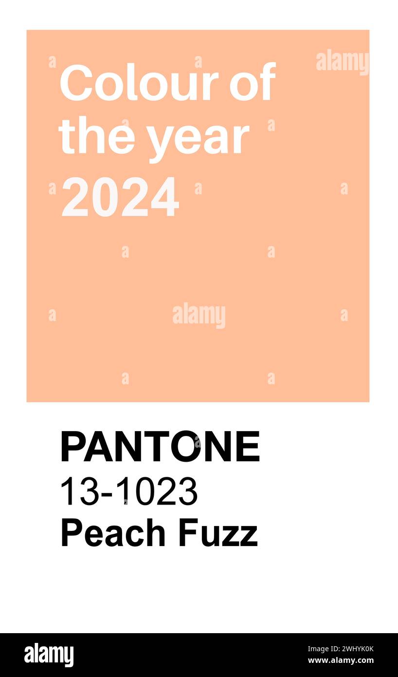 Pantone Pantone Peach Fuzz Trendfarbe des Jahres 2024. Farbmuster, Vektorillustration Stock Vektor