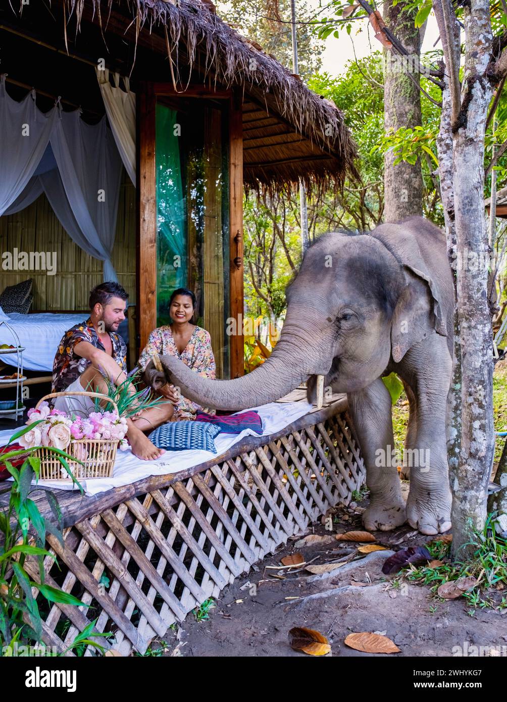 Ein Paar besucht ein Elefantenschutzgebiet in Chiang Mai Thailand, eine Elefantenfarm im Bergdschungel Stockfoto