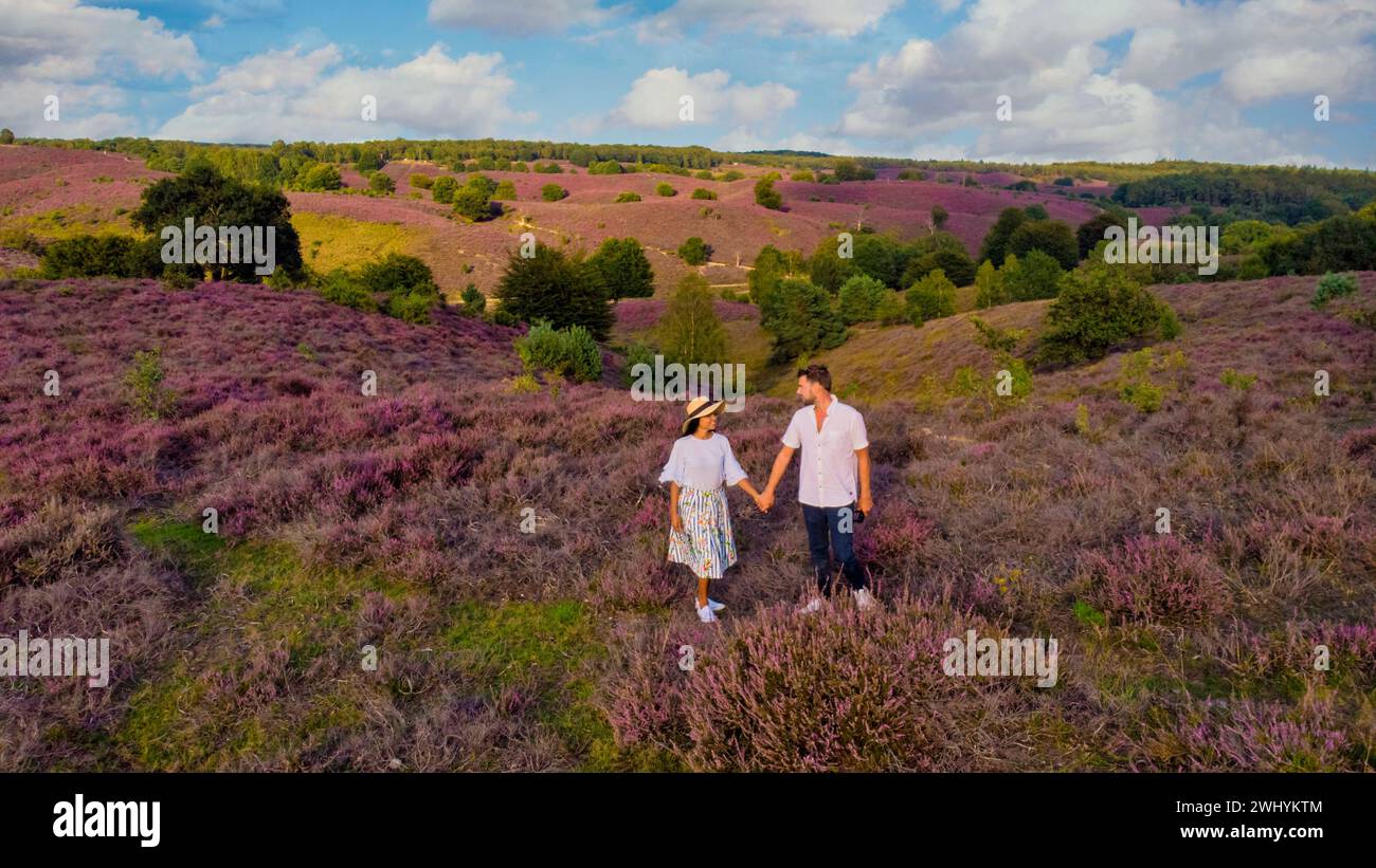 Ein paar Männer und Frauen besuchen den Posbank Nationalpark Veluwe, lila rosa Heidekraut in Blüte, Stockfoto