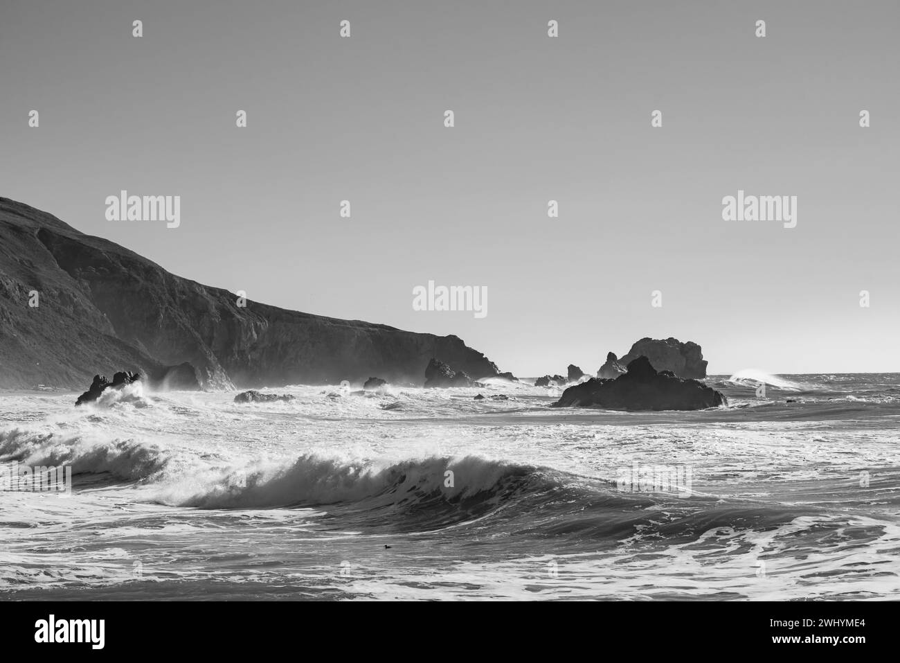Goat Rock, Nordkalifornien, Möwe, Wellen, Küstenlandschaft, Pazifik, Felsformationen, Küstenwellen Stockfoto