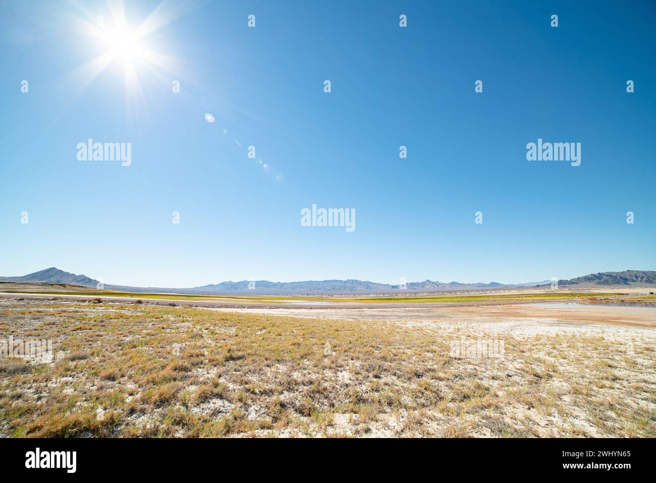Harte Sonne, Wüste, Hellgrün, Wüstenpinsel, Death Valley, Trockene Landschaft, Intensive Hitze, Sonnenlicht, Sonne Über Kopf Stockfoto