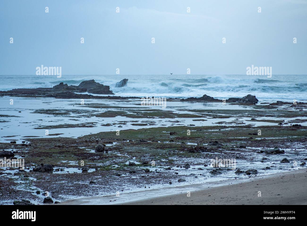 Mavericks, Big Wave Surfen, Niedrigwasser, Half Moon Bay, Hafen, Küste, Kalifornien, Surf Spot, Extreme Sports, Surfen Stockfoto