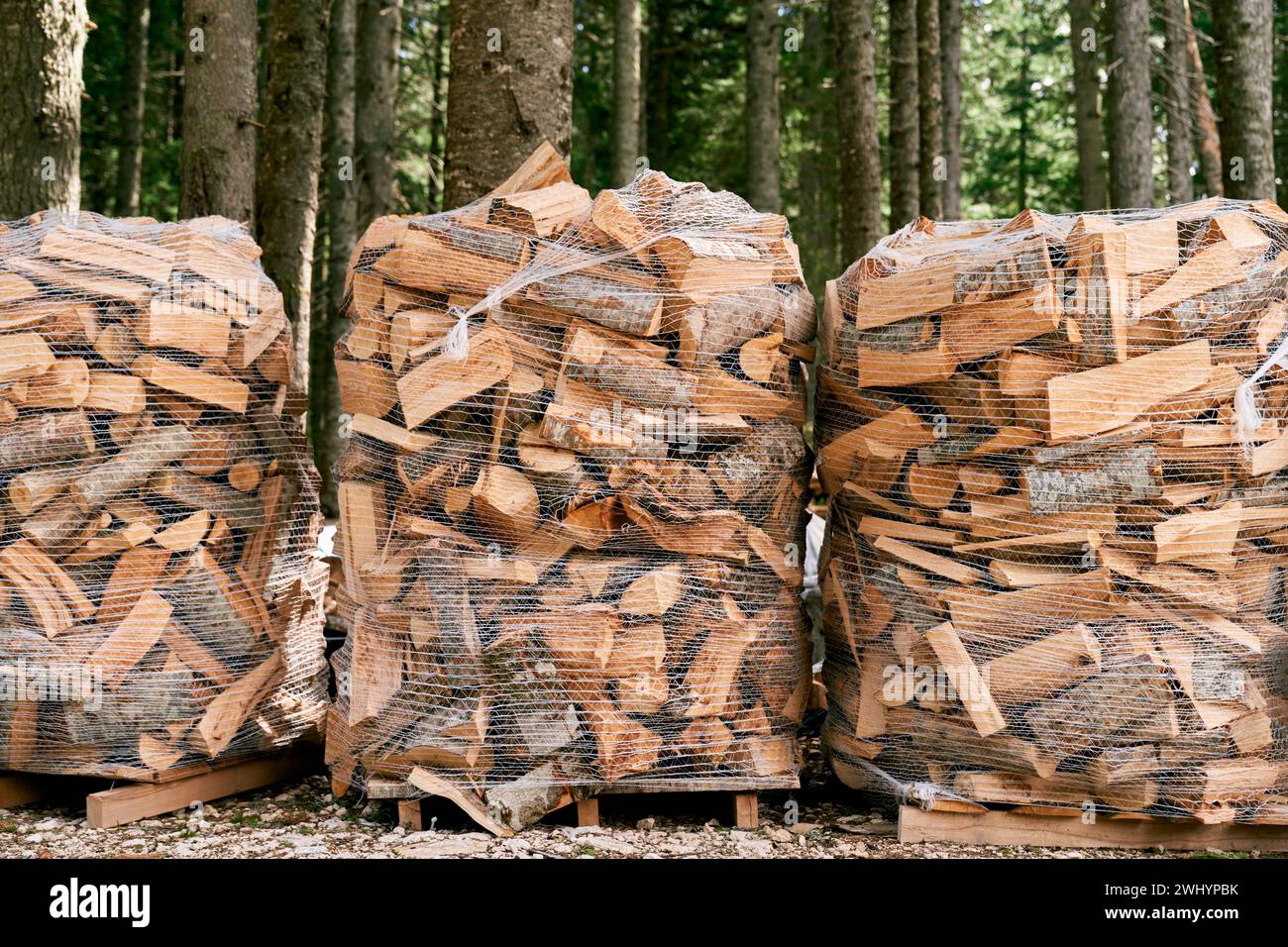 Brennholzstapel liegen in transparenten Netzsäcken auf Paletten zwischen den Bäumen Stockfoto