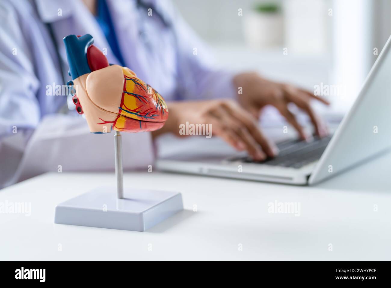 Arzt Patient auf Laptop mit anatomischem Modell des menschlichen Herzens konsultieren Kardiologe unterstützt den Termin Heart Online Doctor. Stockfoto