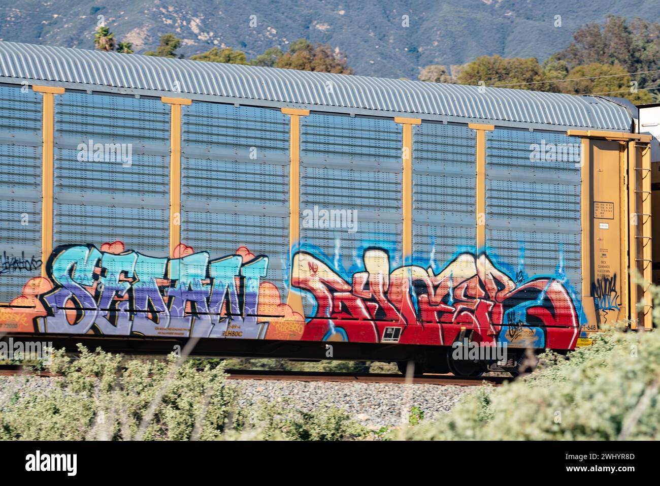 Graffiti, Güterzug, Santa Barbara, Urban Art, Street Art, Bunt, Zugwagen, Eisenbahn, Graffiti-Kunst, Stadtlandschaft, Öffentliche Kunst Stockfoto