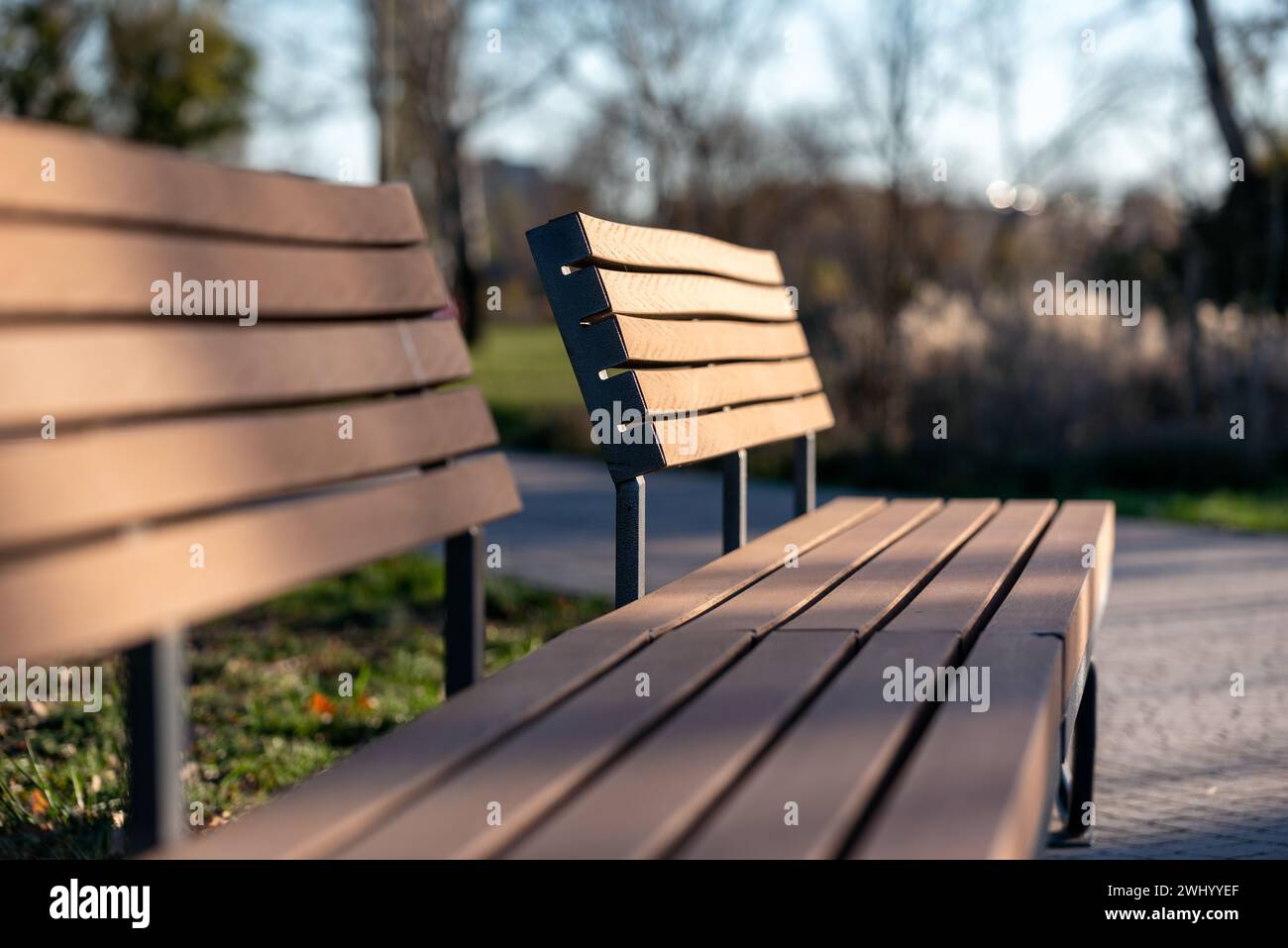 Leere Bank in einem Stadtpark ohne Leute Stockfoto