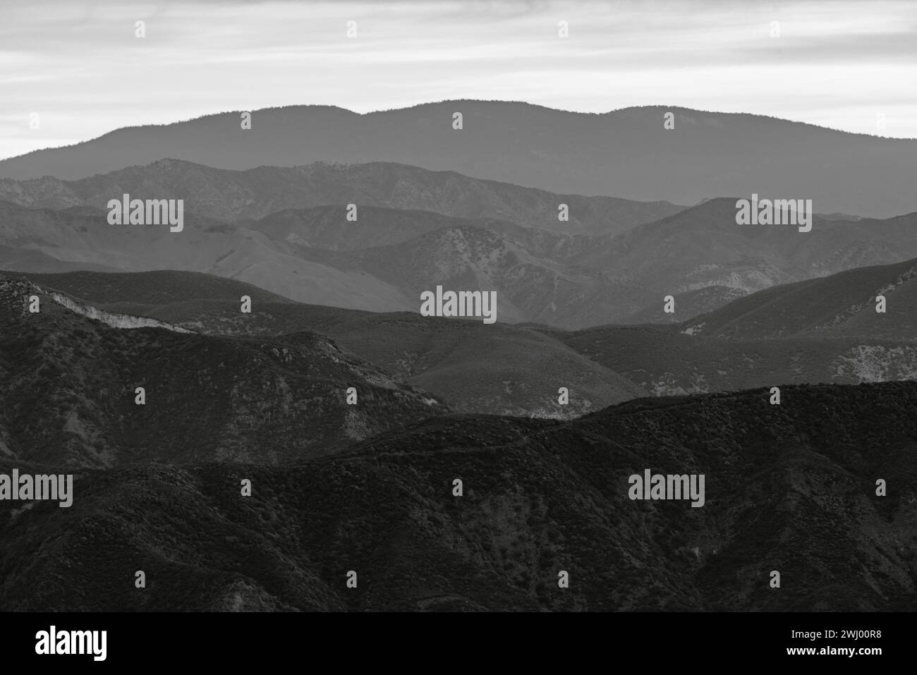 Sonnenaufgang, Santa Ynez Valley, Green Hills, Rolling Hills, Eichen, Nebel, Licht Am Frühen Morgen, Natur, Landschaft Stockfoto