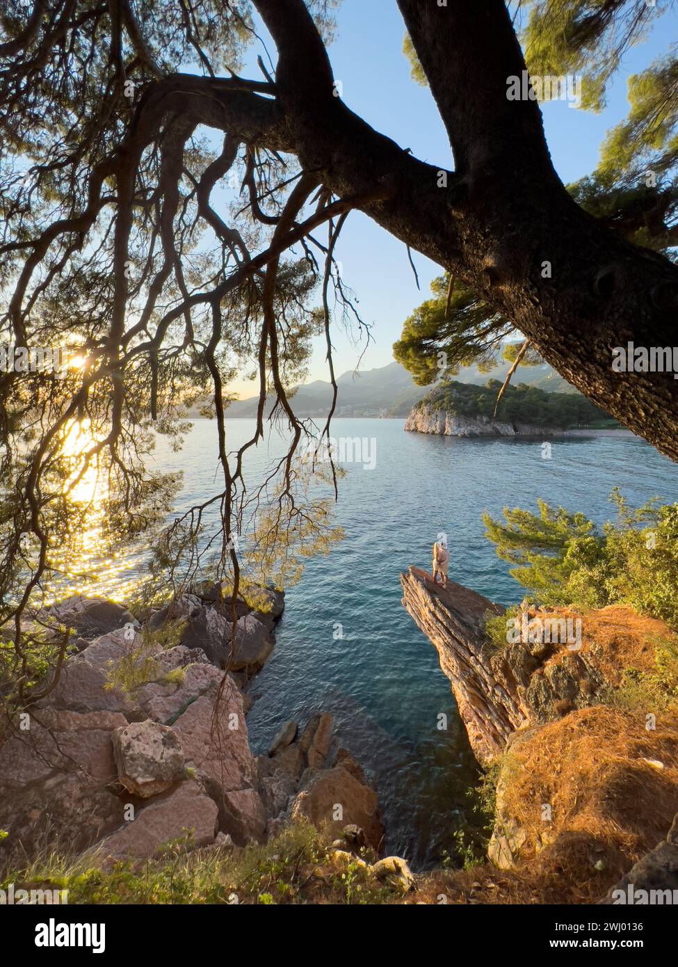 Budva, Montenegro - 01. august 2023: Blick durch Nadelzweige von Mann und Frau, die auf einem schmalen Felsen über dem Meer stehen Stockfoto