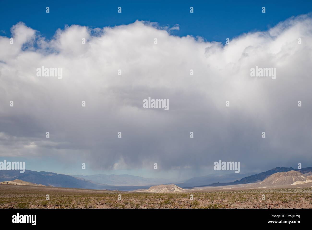 Death Valley National Park, Wüste, Rare Rainbow, Regensturm, Ground Rainbow, Atmosphärische Phänomene, Einzigartiges Wetter Stockfoto