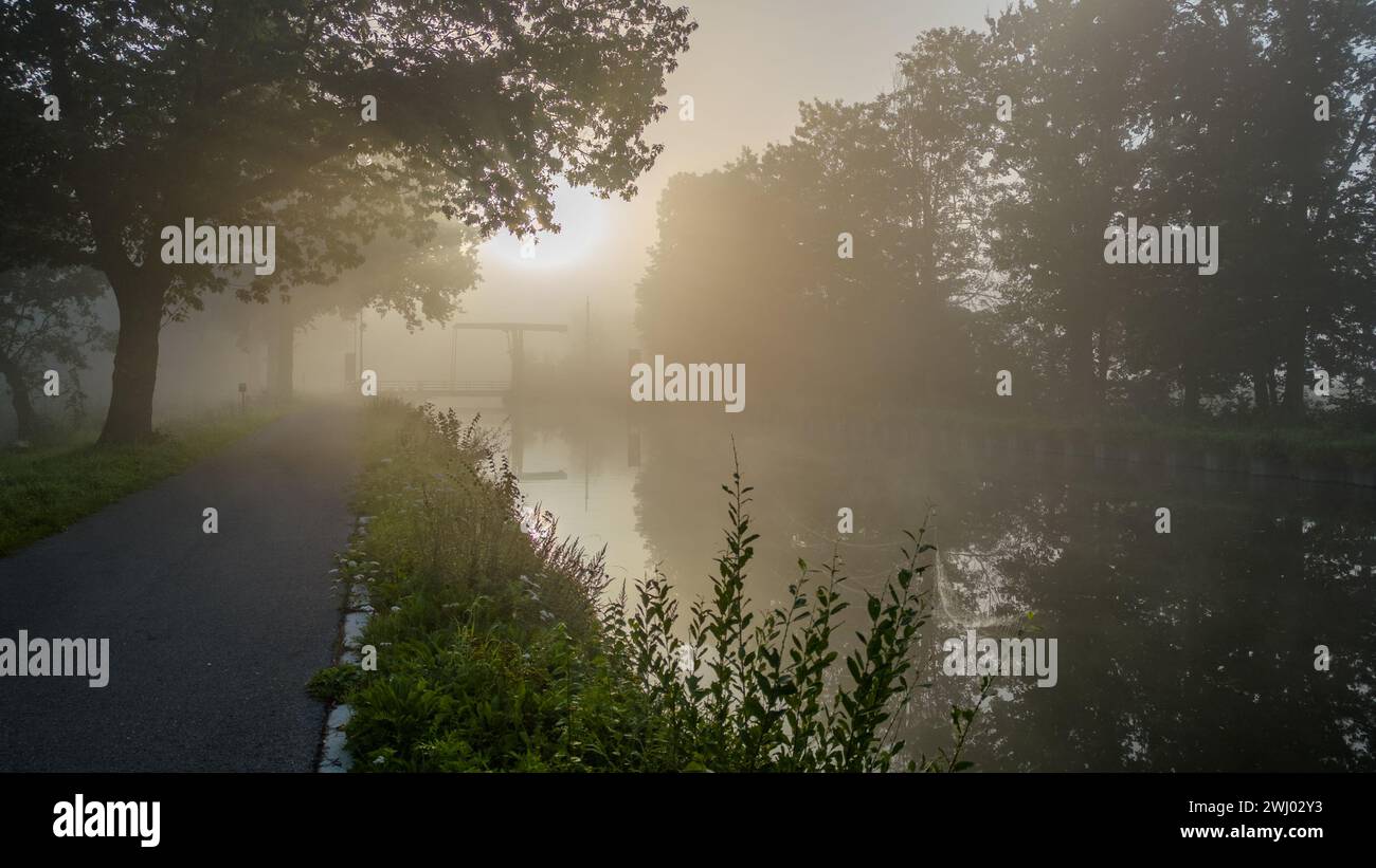 Sunrise Serenade: Mystik von Nebel, Reflexionen und Baumsilhouetten Stockfoto