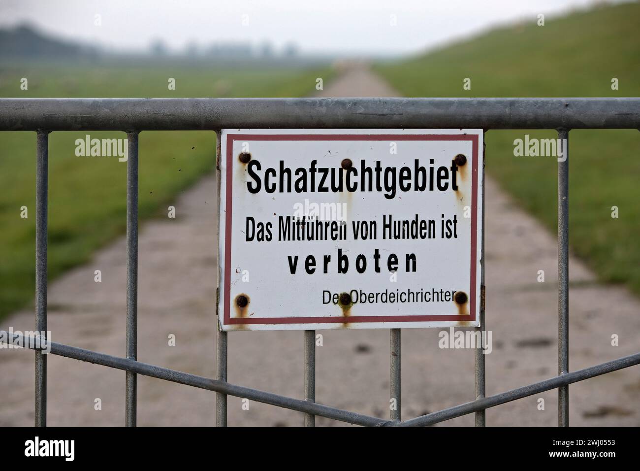 Schafzuchtgebiet es ist verboten, Hunde mitzunehmen. Der Oberdeichrichter, Deutschland, Europa Stockfoto