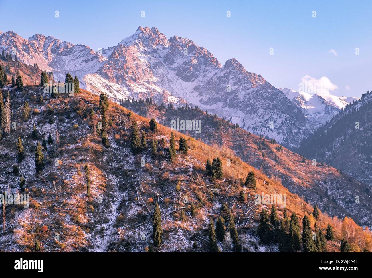 Folgen eines starken Hurrikans in Form von umgestürzten Bäumen an einem Berghang; malerisches Bergtal in der Herbstsaison Stockfoto