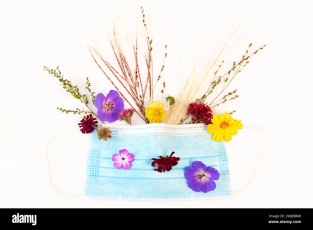 Medizinische Schutzmaske, Blumen und blühendes Gras - Allergene. Frühlings- und Sommerblüte Stockfoto