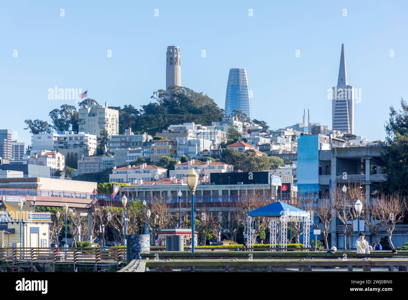 Coit Tower und Transamerica Pyramid Gebäude vom Pier 39, San Francisco, Kalifornien, USA Stockfoto
