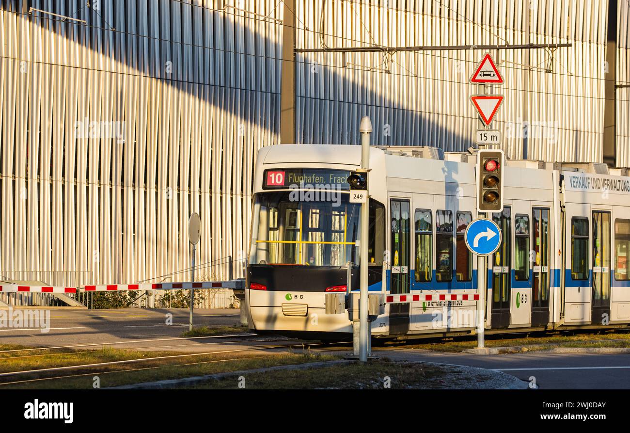 Ein Cobratram der VBZ-Tramlinie 10 bei Flughafen Zürich. (Kloten, Schweiz, 10.02.2023) Stockfoto