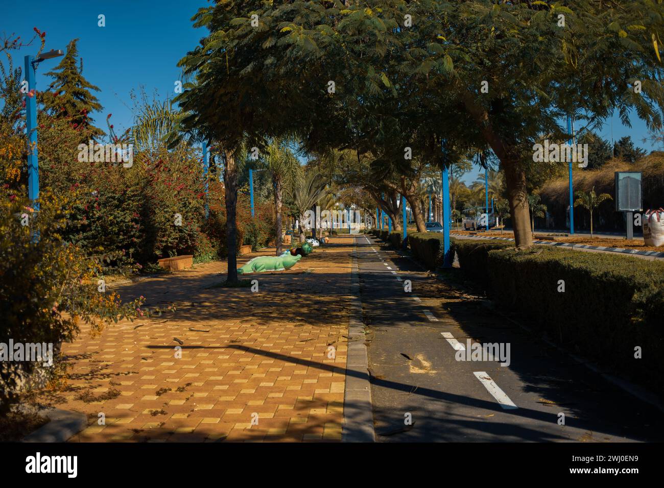 Eine friedliche, von Bäumen gesäumte Straße in der Stadt Sderot, die den ruhigen Alltag im Süden Israels veranschaulicht. Stockfoto