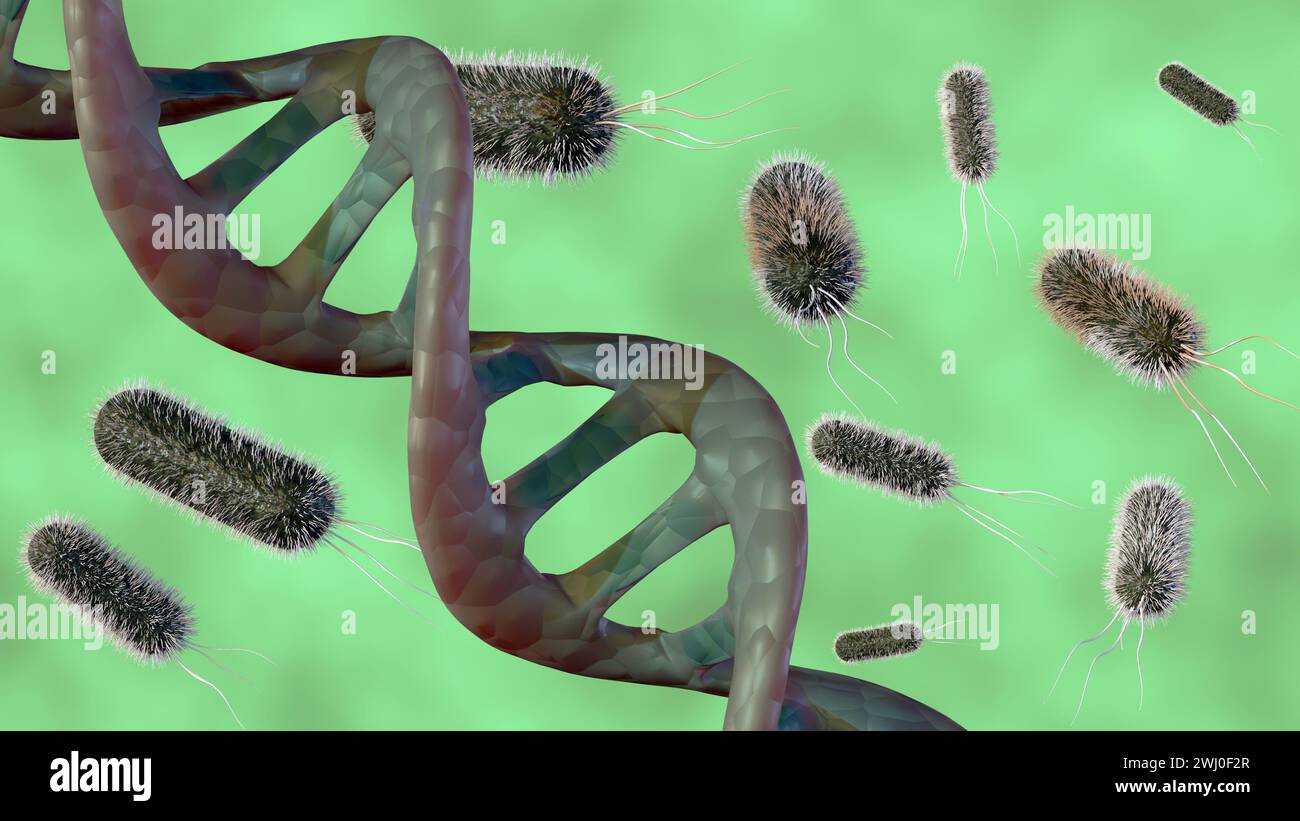 3D-Rendering eines Doppelhelix-DNA-Strangs umgeben von mehreren stabförmigen Bakterien, die Interaktion zwischen Bakterien und DNA. Stockfoto