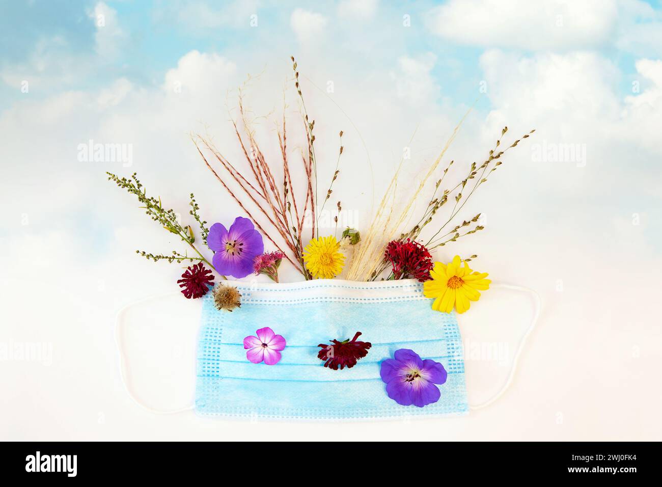 Allergene. Chirurgische Maske, Blumen und blühendes Gras. Frühling und Sommerblüte Stockfoto