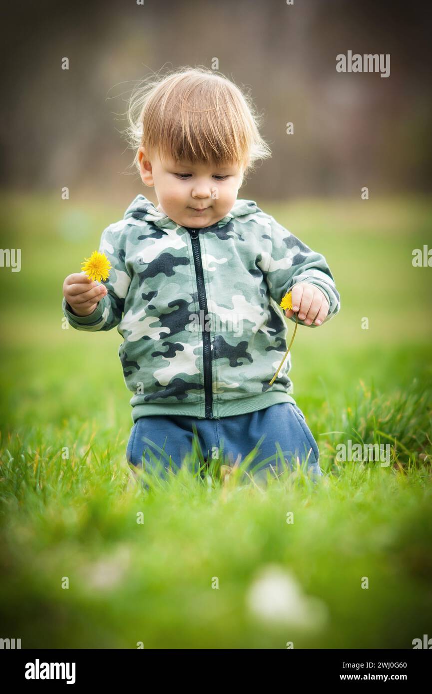 Glücklicher kleiner blonder Junge, der auf einem grünen Feld an einer schmackhaften Blume schnüffelt. Niedliches Kleinkind, das die Natur erkundet. Nahaufnahme Stockfoto
