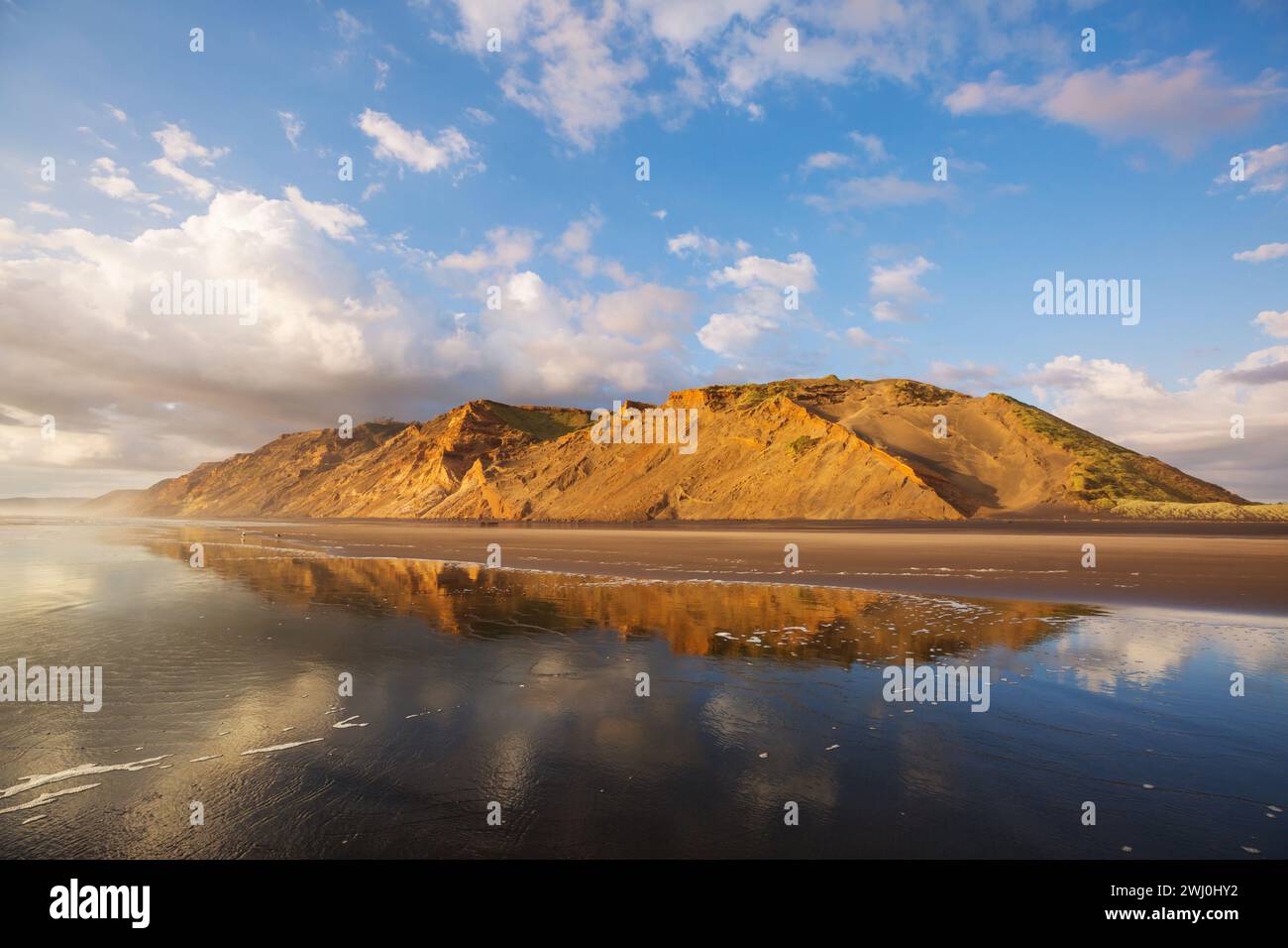 Neuseeland-Küste Stockfoto