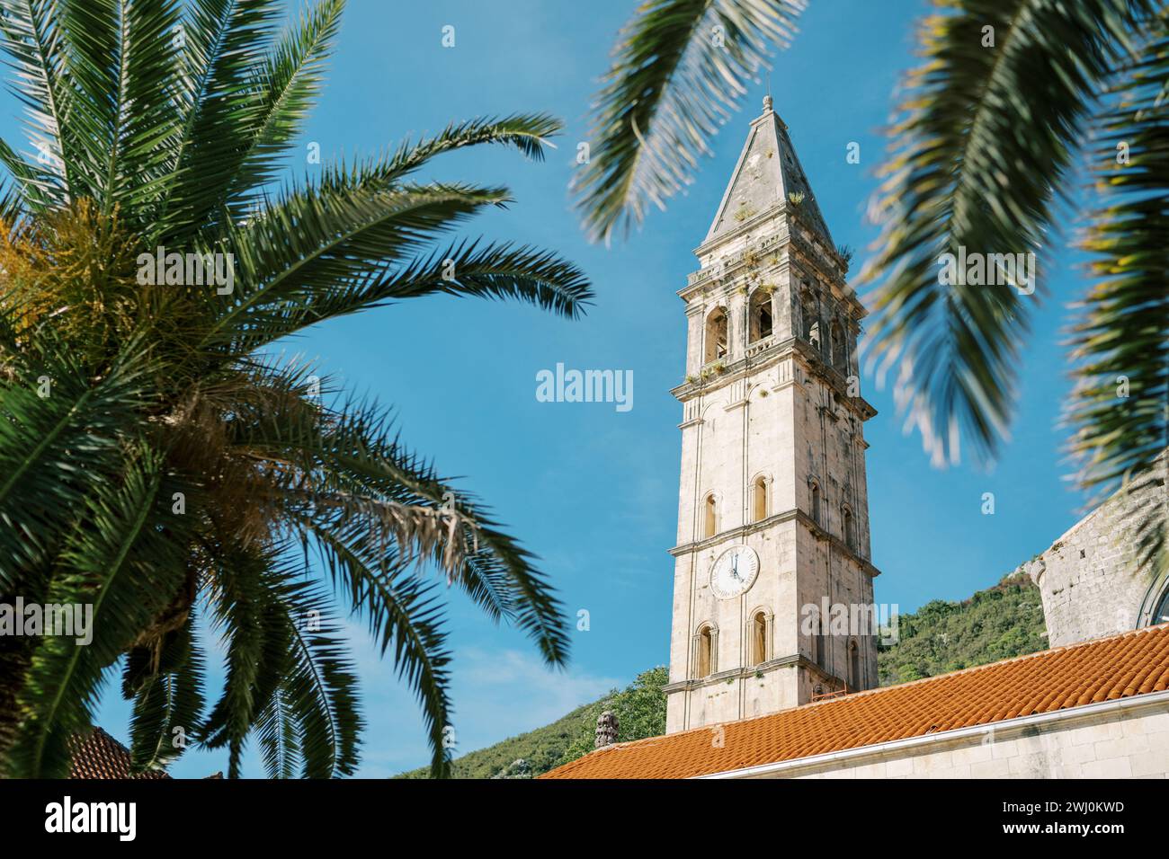 Blick durch die Äste eines Baumes auf den Glockenturm der Kirche St. Nikolaus in Perast. Montenegro Stockfoto