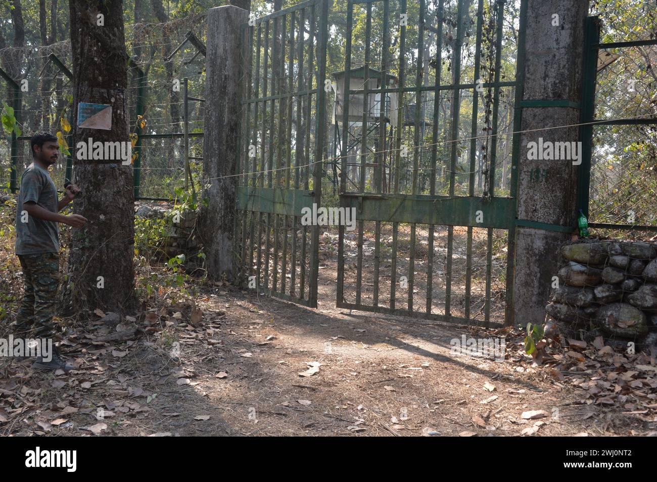 Silguri, Westbengalen, INDIEN. Februar 2024. Ein Mitarbeiter des Safariparks schließt das Tor, während er es am 12. Februar 2024 mit einem Draht gesichert hat, während der Tierwagen beide Löwen zum Bengalen Safari Park am Stadtrand von Siliguri bringt. Die Löwen, Akbar und Sita genannt, wurden aus dem Sepahijala Wildlife Sanctuary und Zoo von Tripura geboren und gebracht. (Kreditbild: © Diptendu Dutta/ZUMA Press Wire) NUR REDAKTIONELLE VERWENDUNG! Nicht für kommerzielle ZWECKE! Stockfoto