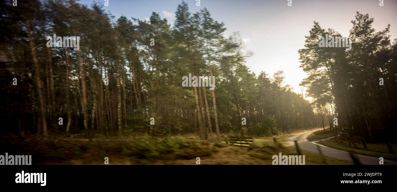 Filmische anamorphotische Weitwinkelansicht Stockfoto