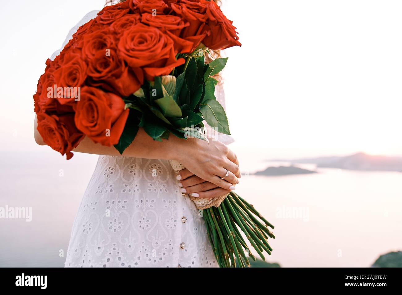 Ein riesiger Strauß roter Rosen in den Händen einer Frau mit einem Verlobungsring am Finger. Abgeschnitten. Gesichtslos Stockfoto