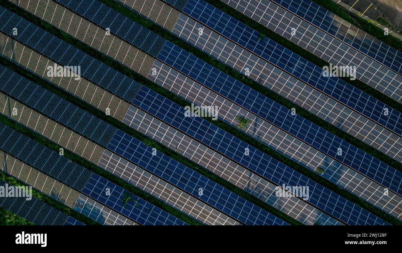 Ein Feld mit Solarzellen in der Gemeinde Eglisau im Zürcher Unterland. (Eglisau, Schweiz, 02.09.2023) Stockfoto