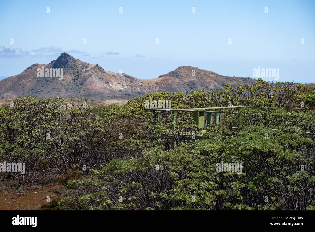 Eine Aussichtsplattform im Millennium Forest auf der Atlantikinsel St. Helena Stockfoto