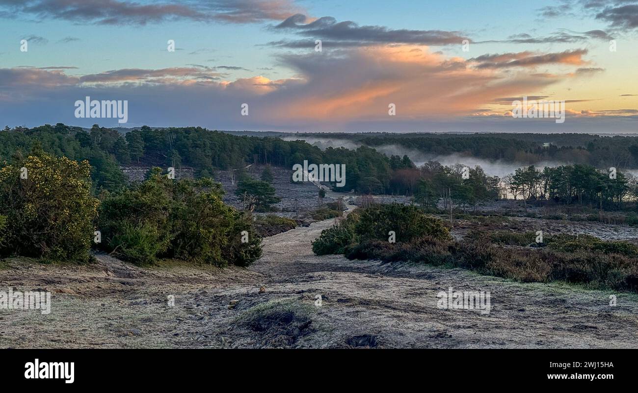 Frensham Little Pond, Farnham, Surrey. Februar 2024. Ein schöner Start in den Tag für die Home Counties. Sonnenaufgang über Frensham Little Pond in der Nähe von Farnham in Surrey. Quelle: james jagger/Alamy Live News Stockfoto