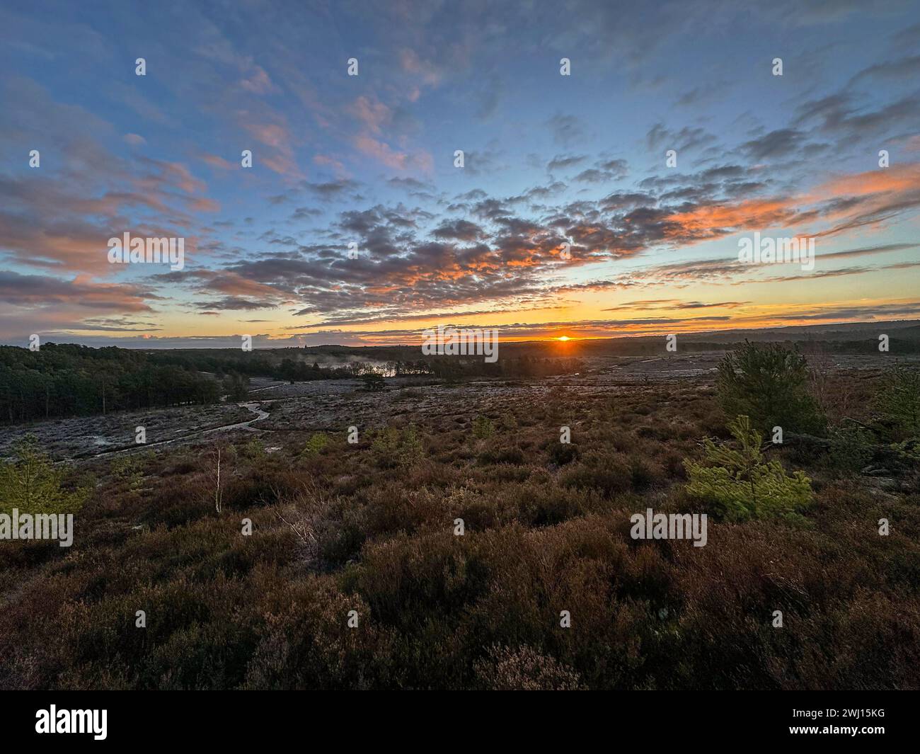 Frensham Little Pond, Farnham, Surrey. Februar 2024. Ein schöner Start in den Tag für die Home Counties. Sonnenaufgang über Frensham Little Pond in der Nähe von Farnham in Surrey. Quelle: james jagger/Alamy Live News Stockfoto