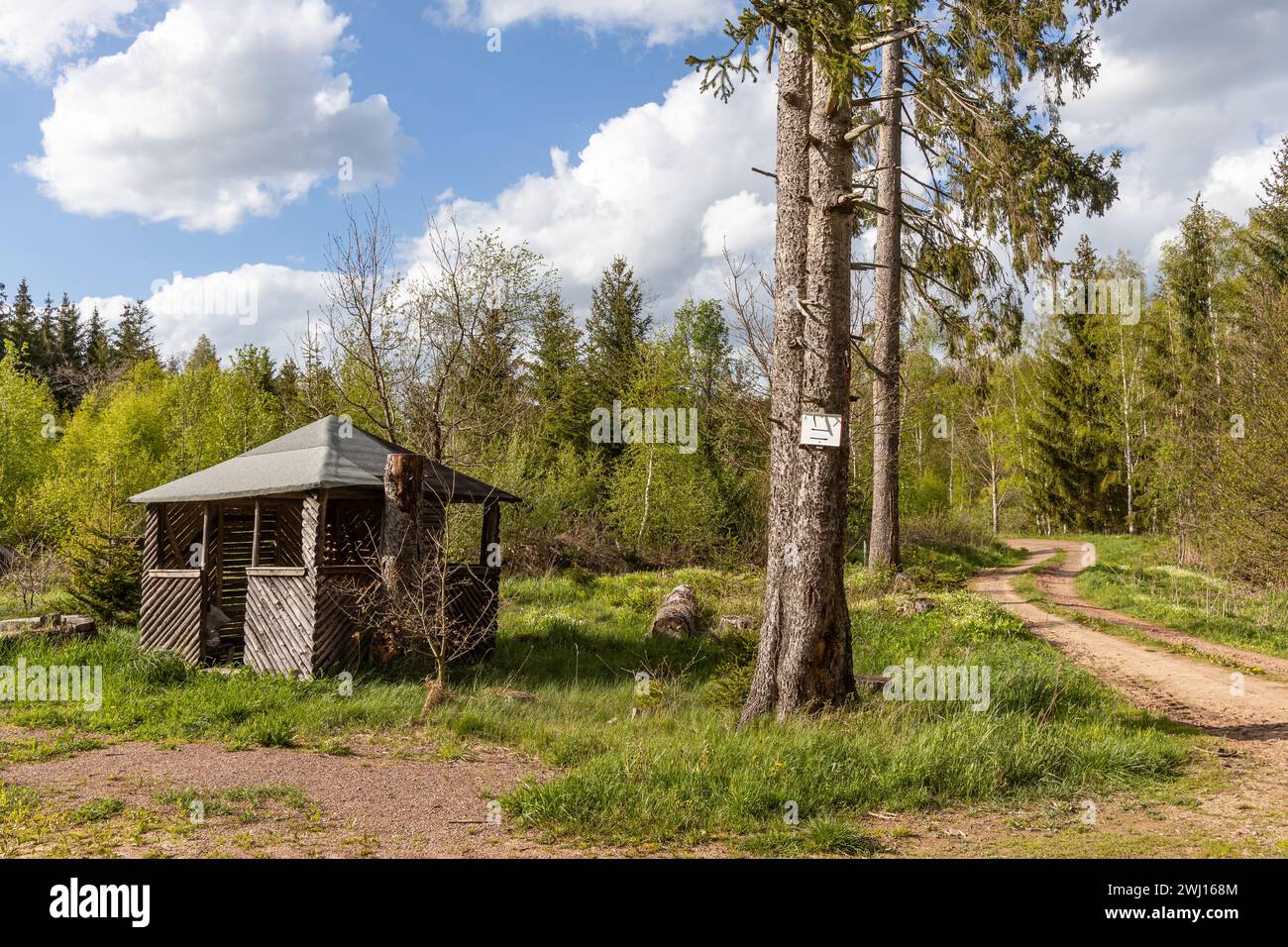 Unterschlupf im Wald-Rastplatz Stockfoto