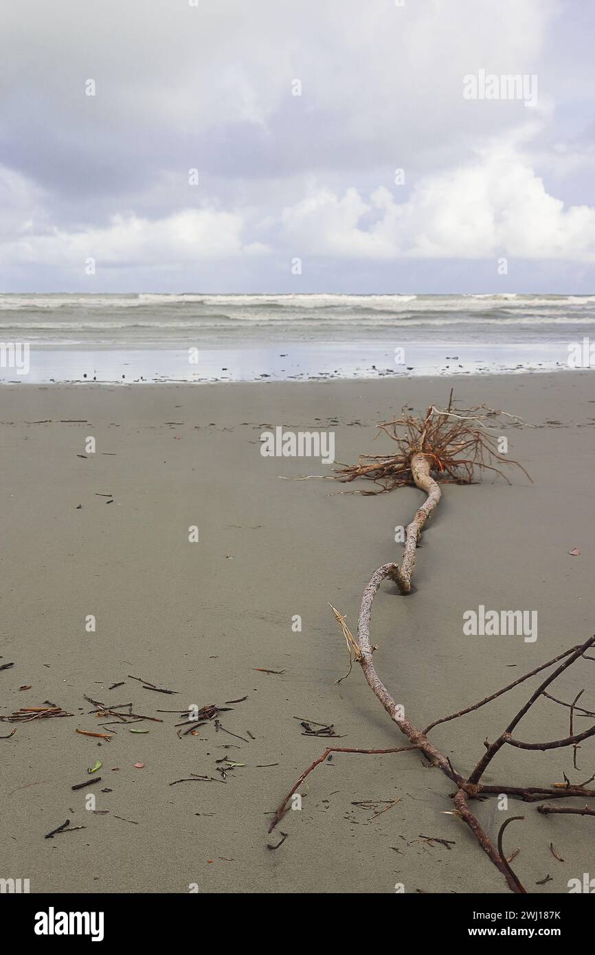 henry's Island Sea Beach, wunderschöne Küste von Bakkhali und Urlaubsziel in der Nähe von kalkutta in westbengalen, indien Stockfoto